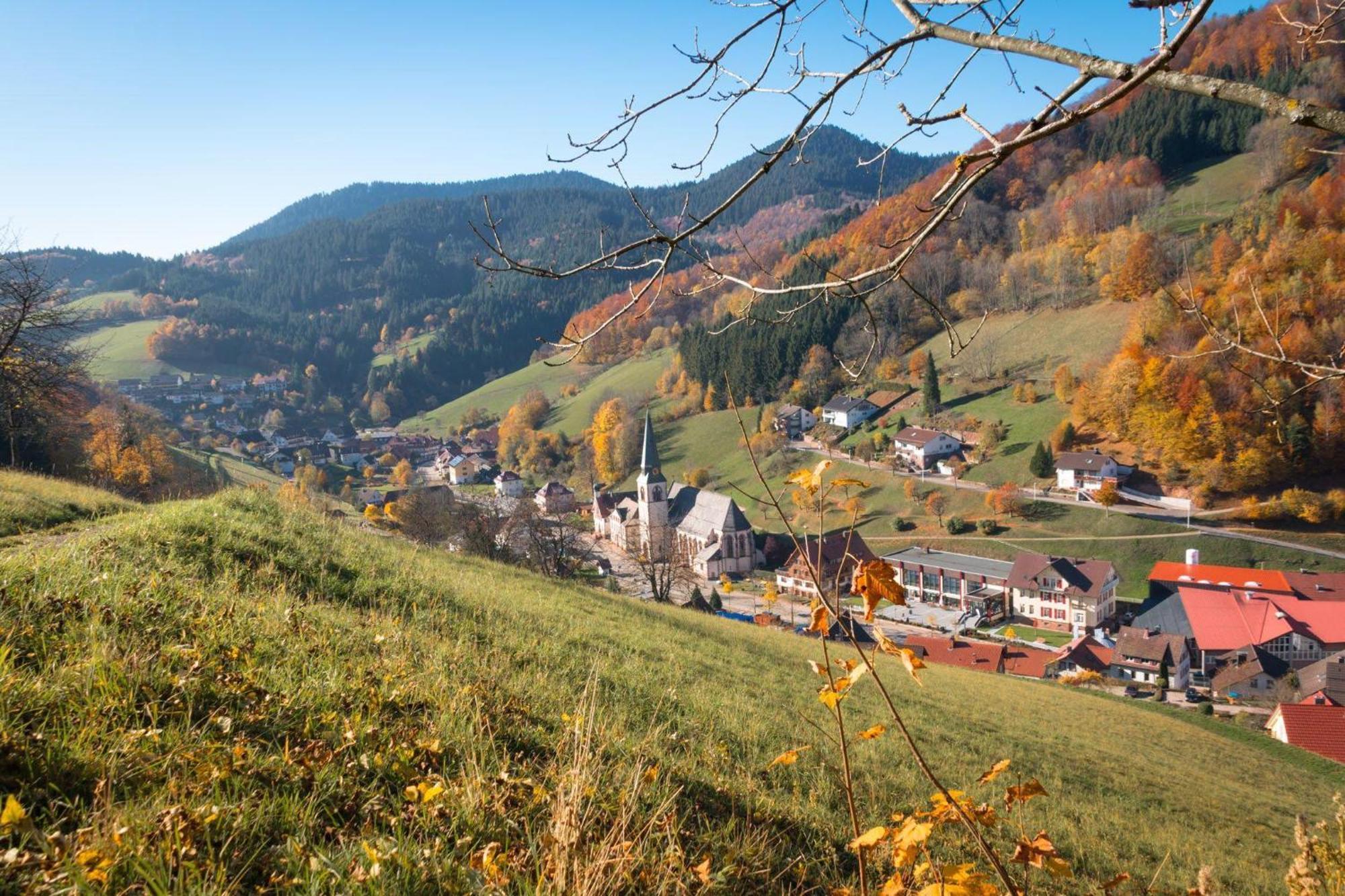 Ferienwohnung Am Kapellenberg - Am Rande Des Nationalparks Schwarzwald Bad Peterstal-Griesbach Exterior photo